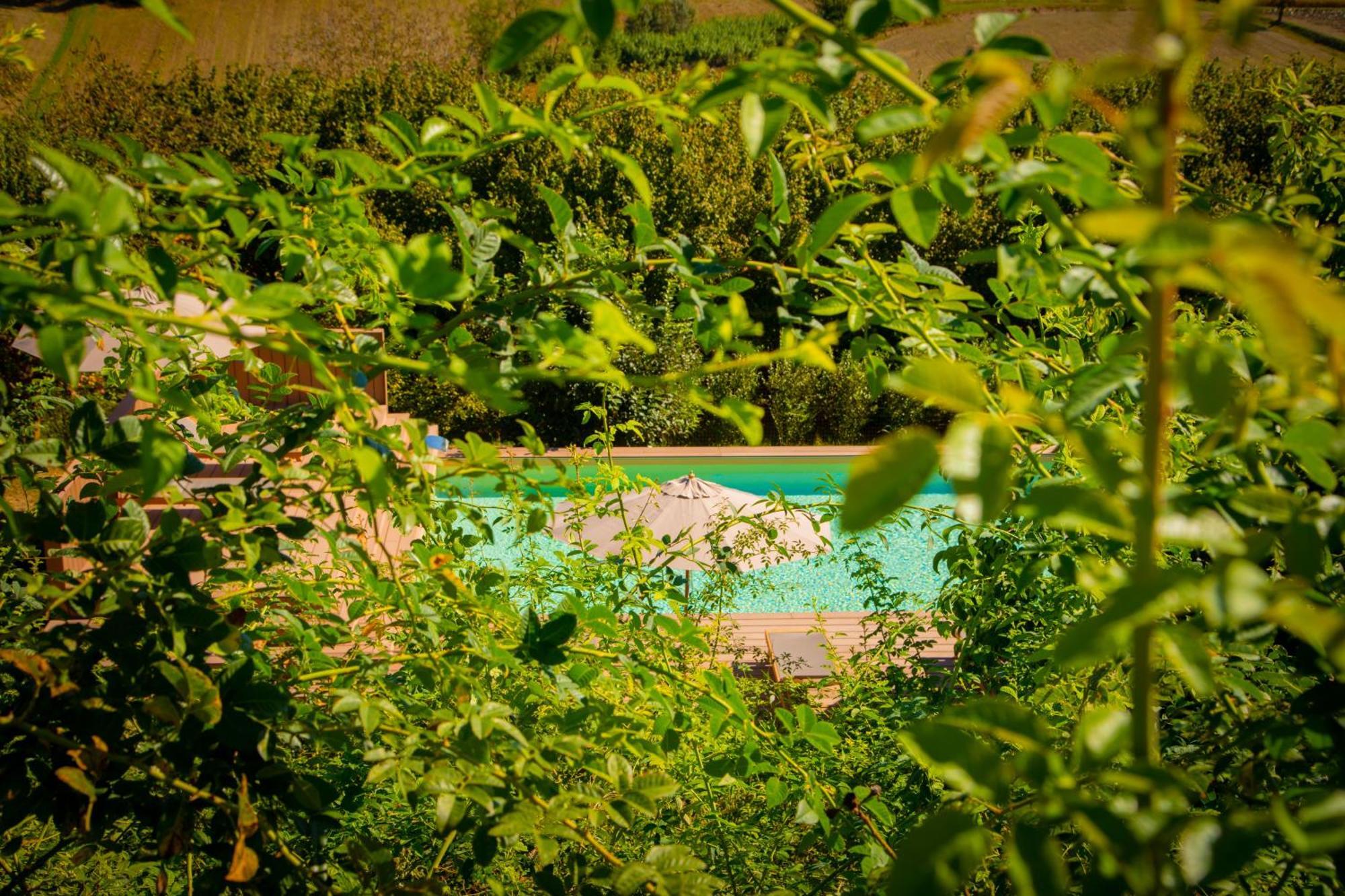 Pampucet Bed & Breakfast Colcavagno Exterior photo
